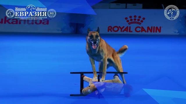 "Евразия-2018" смотреть онлайн