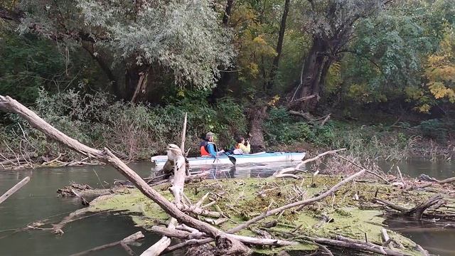 С Каяк клуб - Свищов около остров Вардим, река Дунав, 15.10.2022 смотреть онлайн