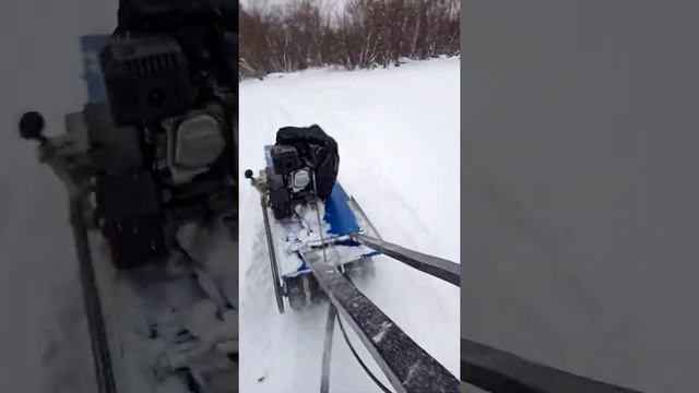 Катаюсь по замёрзшей реке. Красота. смотреть онлайн