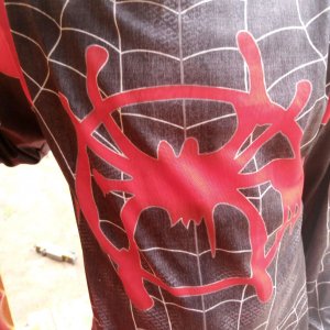 жизнь человека-паука