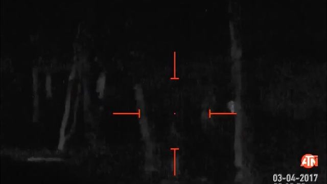 ATN THOR HD 384 2-8x смотреть онлайн