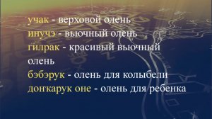 Телеуроки по эвенскому языку. "Эвэдыч төрэгэл". Урок 14