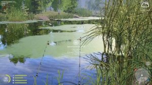 РР4, Русская рыбалка 4, пробую Амура на Старом остроге.