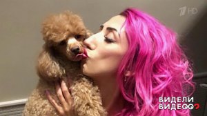 Несекретные материалы блогера Лилии Абрамовой. Видели видео? Фрагмент выпуска от 20.10.2019