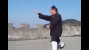 Уданский мастер Чжу Лимин демонстрирует багуа чжан / Wudang Master Bagua Zhang   Zhu Li Ming