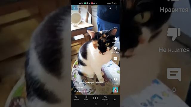 видео из ютуба 2024 смотреть онлайн