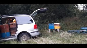 Пчеловодство в Англии. Перевозка пчел на вереск. Ч2