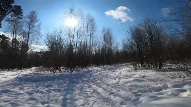 Горенский Лесопарк на велосипеде от первого лица 2023 смотреть онлайн