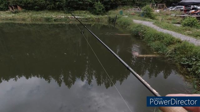 Форель на виброхвост. Новинки силиконовых приманок. Angelparadies Steinbachtal смотреть онлайн