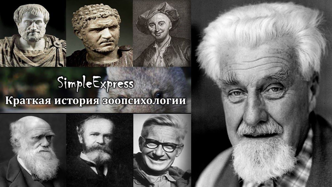 Краткая история зоопсихологии.