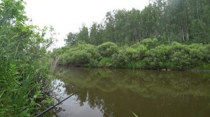 Рыбалка на реке Бузим 30.06.17 (Малиновка)