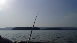 ВОТ ЭТО РЫБАЛКА - МЕЧТА. ЛЕТНИЙ ЖОР. РЫБНОЕ АССОРТИ. РЫБАЛКА НА ФИДЕР С ЛОДКИ!!! ПОПАЛ НА КЛЁВ!!