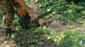 Дружба4,1971г проба.