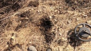 Поиск металла с AR944M.