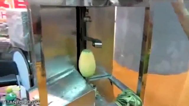 Машина для очистки дыни, арбуза, ананаса Titan FXP-66 смотреть онлайн