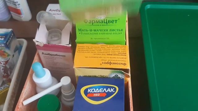 Домашний влог/ Покупки для дома/Мамина ёлка/ Разбор домашней аптечки/ Ольга str смотреть онлайн