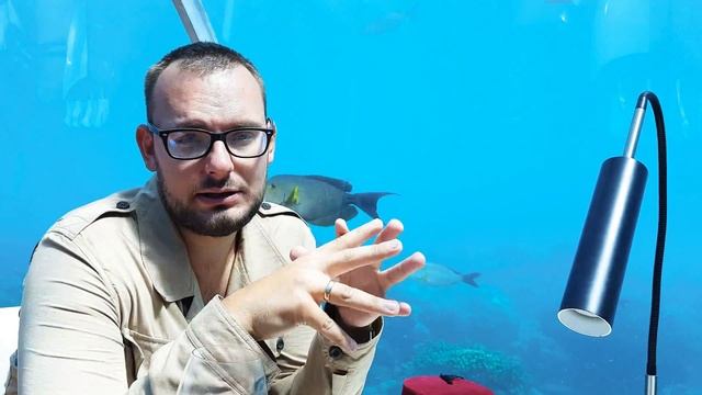 Презентация кампании за 2 минуты смотреть онлайн