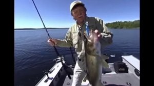 Воблер RAPALA Shallow Tail Dancer