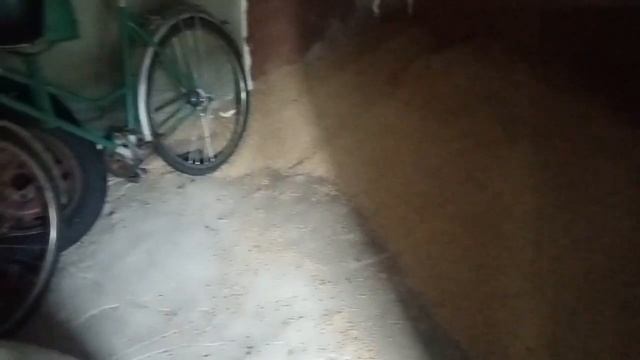 Мотоблок фермер 909 MSL, перевозка зерна #мотоблок #техника #фермер смотреть онлайн