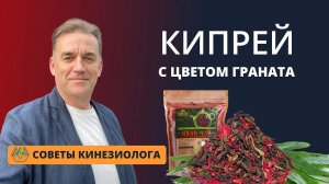КИПРЕЙ  ИВАН-ЧАЙ Копорский с цветом граната травяной сбор витаминный для ощелачивания организма