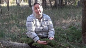 ВАРЕНЬЕ из СОСНОВЫХ ШИШЕК || Рецепт приготовления и полезные свойства