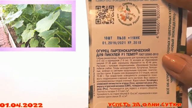 01. 04. 2022 Огурцы ???для сезона 2022: часть 1- мои любимые, никогда не подводили смотреть онлайн