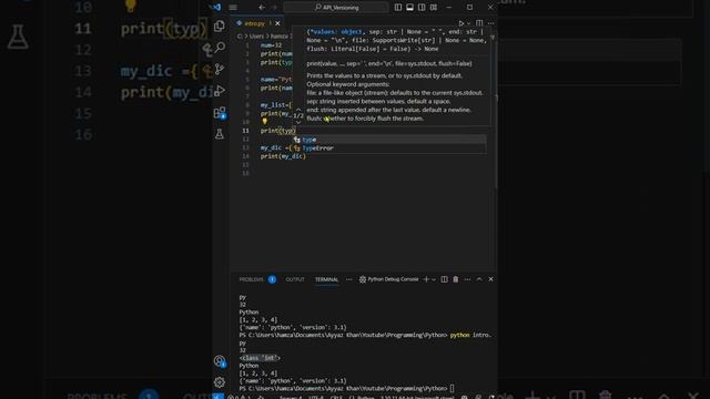 Python Variable Type Checker: Learn How to Use type() Function