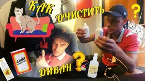Как очистить диван от кошачьей мочи и вывести запах?Проверяю методы с YouTube