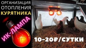 Выгодное ОТОПЛЕНИЕ КУРЯТНИКА - ИНФРАКРАСНАЯ ЛАМПА  10-20 ₽/сутки