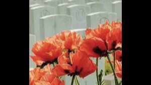 In Flanders Fields