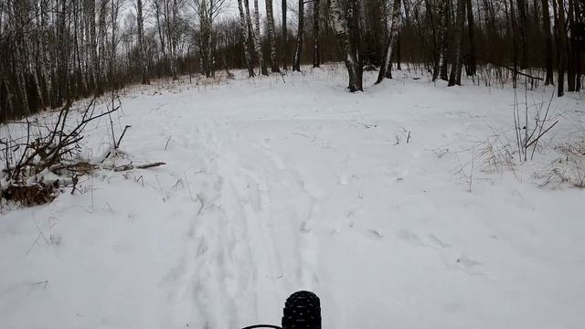 Покатушка на фэтбайке по зимнему лесу.2 декабря 2021 года.1 часть.