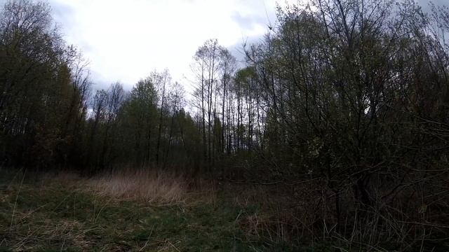 Коп с XP Deus. Поход по деревням. смотреть онлайн