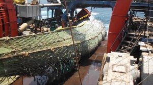 Подъем трала