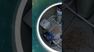 Вместительный кессон для скважины. Куда поставить фильтра, гидробак и автоматику?