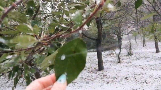 Одесса 26.11.23 / ужасная погода / ураган / снегопад смотреть онлайн