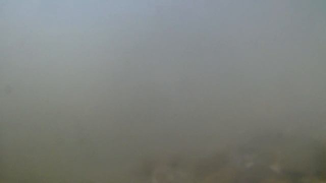 Биотопный аквариум-показатели воды Оки смотреть онлайн