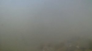 Биотопный аквариум-показатели воды Оки