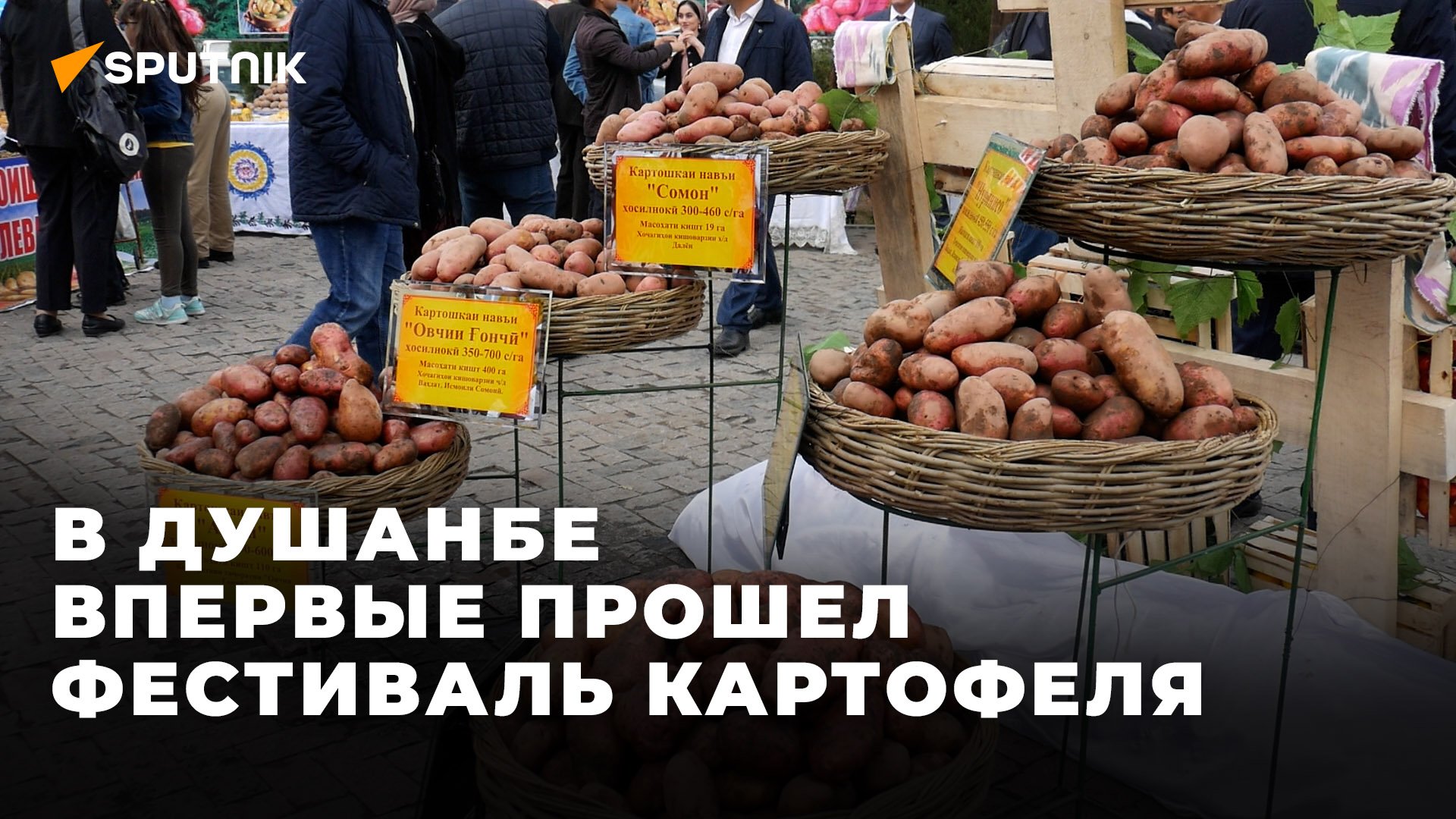 В Душанбе впервые прошел фестиваль картофеля