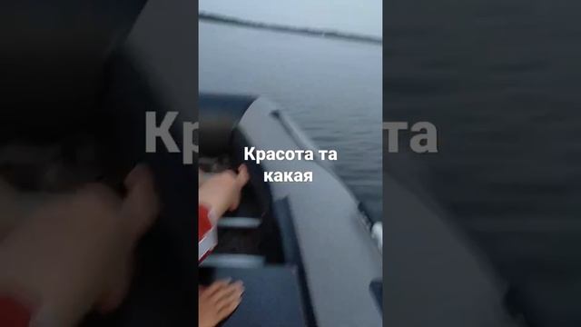 Вечерние катание на моторной лодке с мотором тахатсу 9.8 по реке Волге