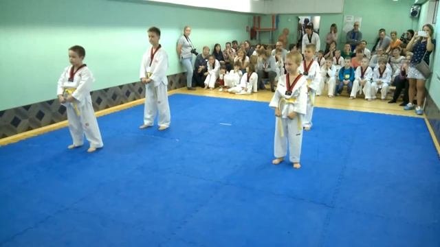 Тхэквондо ВТФ. Аттестация на 8 гып (желтый пояс)