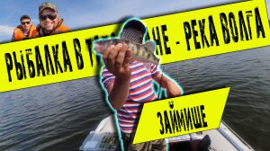Рыбалка в Татарстане! Река Волга! Займище