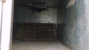 Газон Next 3010 GA Рефрижератор экспресс-обзор от Алексея Рудакова