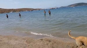 Бодрум. Пляж Гюмбет (июнь 2018). Bodrum. Gumbet beach.