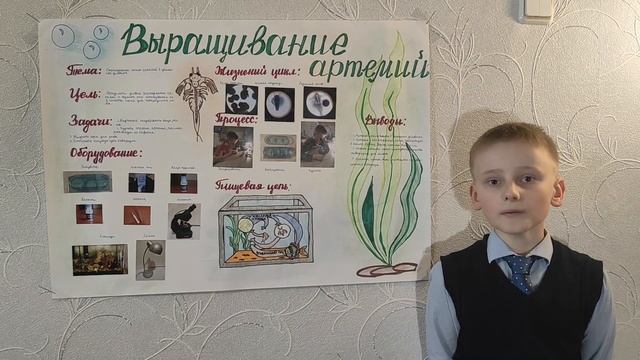 Выращивание рачков артемии в домашних условиях Строк Антон, 3Д смотреть онлайн