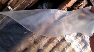 Устанавливаем кормушки для пчел