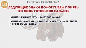 #ЮНАРМИЯСУРГУТ" (Осенчук - Что делать, если ты встретил в лесу дикого зверя.) урок 23