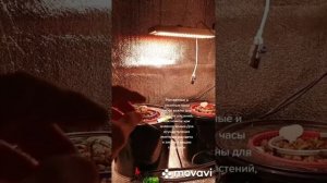 Обновление LED лампы функция Рассвет Закат для растений