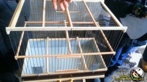 Птичий рынок г Канибадам