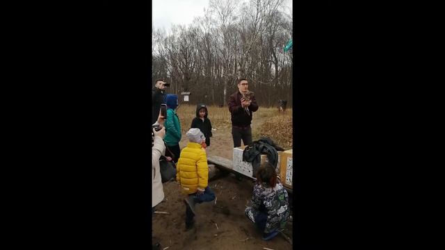 Канюки Доммар, Гольда и Санта Клаус вылетели на свободу смотреть онлайн