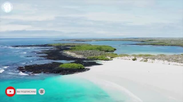 Как научиться слышать себя и свое тело? Почему люди набирают лишний вес? смотреть онлайн